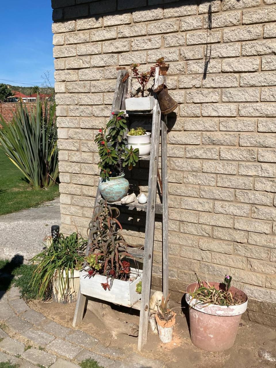 كولشستر 57 On Wellington Accommodation المظهر الخارجي الصورة